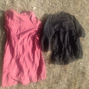 Zara Pink and Black Midi Dresses